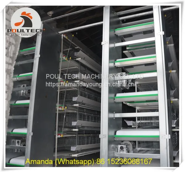 Hot Sale Mozambique Poultry Farming Equipment - Battery Chicken Cage & Layer Cage & Chicken Coop & Hen Coop & Laying Hen Cage in Chicken Shed photo-2