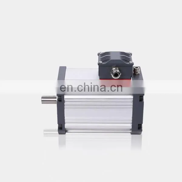 110V Superior High Torque High Efficient 3000RPM 10000 Rpm ac dc Brushless Motor photo-2