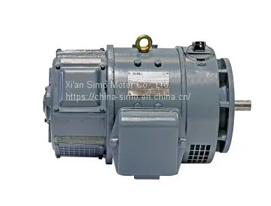 Z2 220V High Torque Simo DC Motor for Rolling Mill