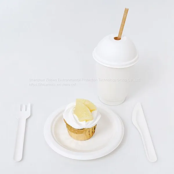 Custom Disposable Compostable Biodegradable Paper Pulp Coffee Cups Wholesale