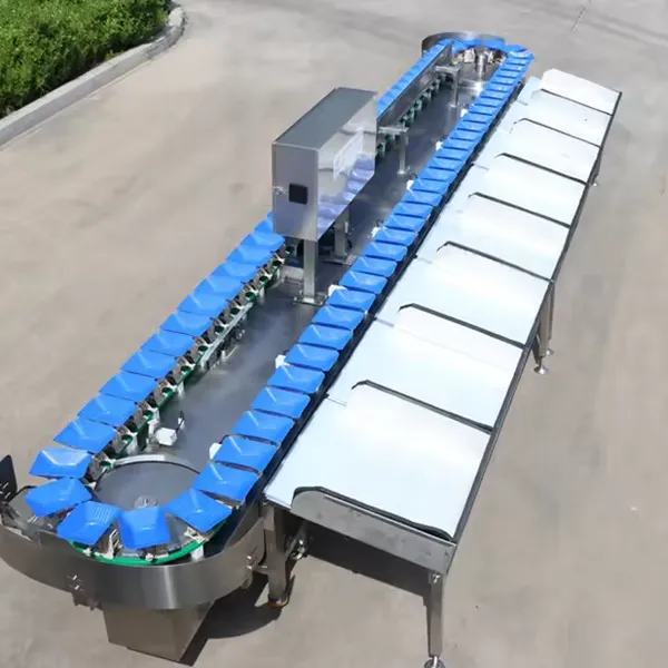 Intelligent Corn Vegetable Fruit Sorting Grading Classifying Machine  Fruit Sorting Grading Machine Sorter Grader Machine Line
