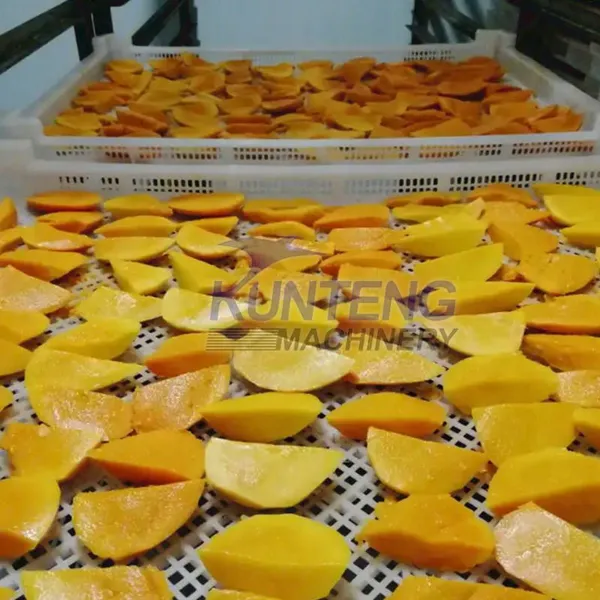 Commercial Mango Dryer Mango Dehydration Machine Mango Drying Production Line for Fruit Processing photo-4