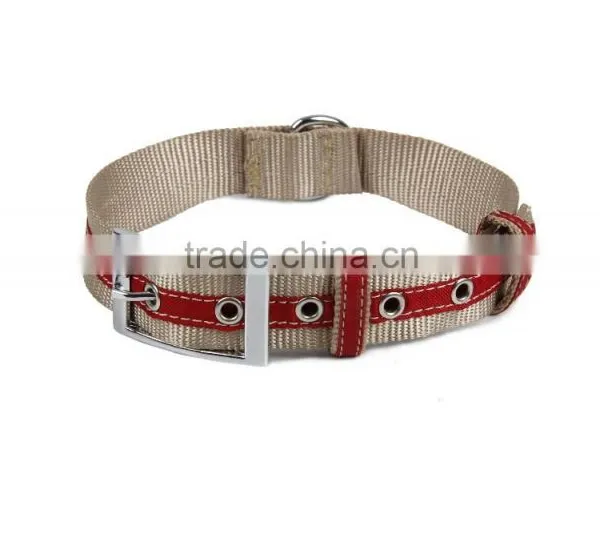 Wholesale Excellent Quality Durable Training Dog Collar photo-5