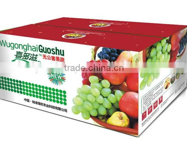 Volume Large,profit Small Corrugated Carton Box for Fruit and Vegetable photo-6