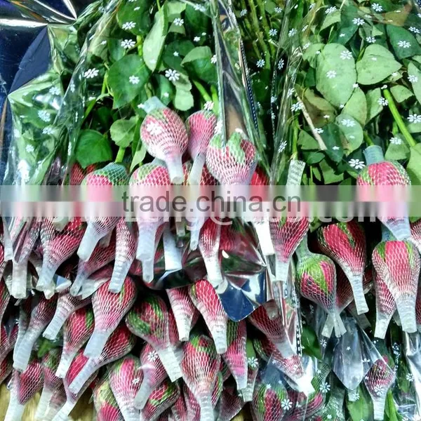 PE Roses Bud Cap Protective Tubular Packaging Sleeve Netting photo-6