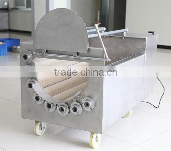 Good After-sales Service Stainless Steel Fruit And Vegetable Washer With 12 Months Warranty photo-5