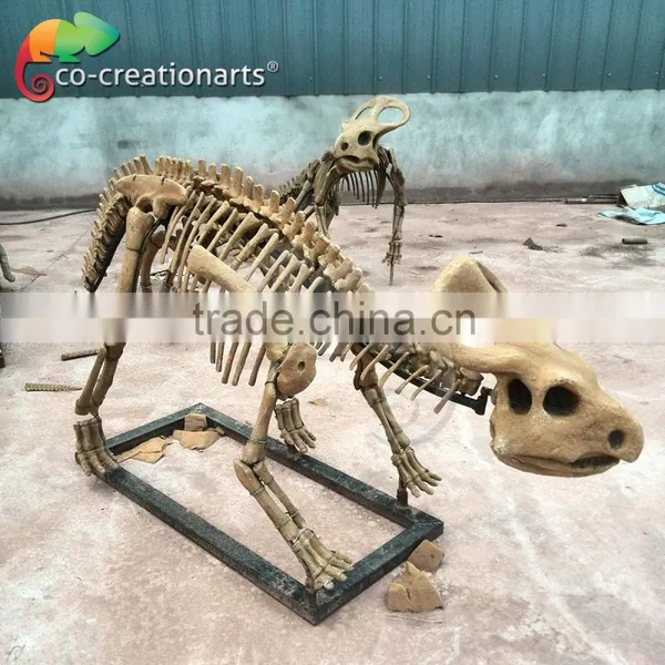 High Simulation Fiberglass Skeleton Model of Dinosaur photo-2
