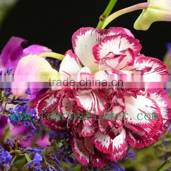 Best Quality Hot Sale Dried Flowers Red Wedding Invitations Real Touch Flowers photo-5