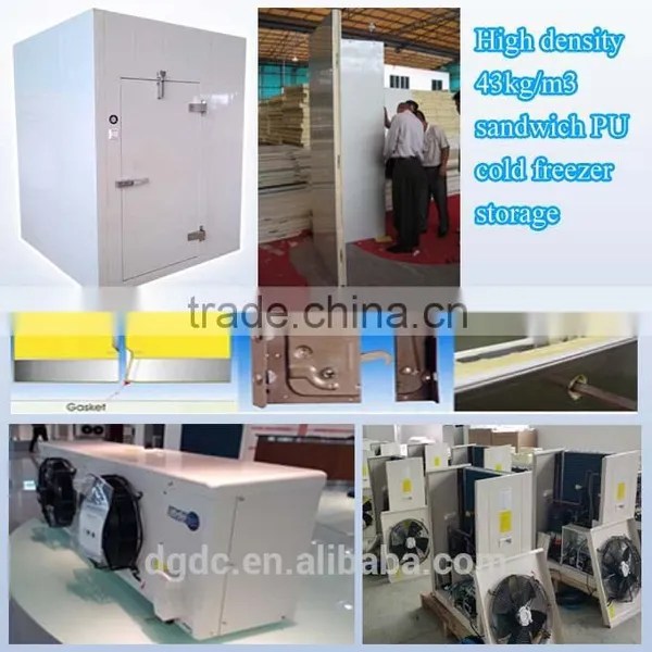 High Density 43kg/m3 Sandwich PU Cold Freezer Storage