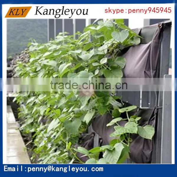 Garden Organizer for Plants photo-4