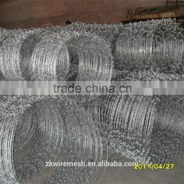 Hot Dip Barbed Wire /barbed Wire Price per Roll/razor Barbed Wire photo-4