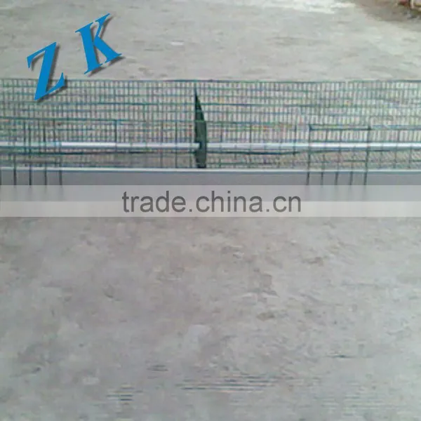 Chicken Farm Equipment Cage for Growing Broiler photo-4