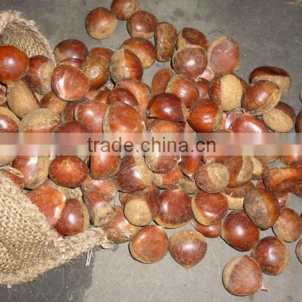 Chestnut /roasted Chestnut/frozen Chestnut