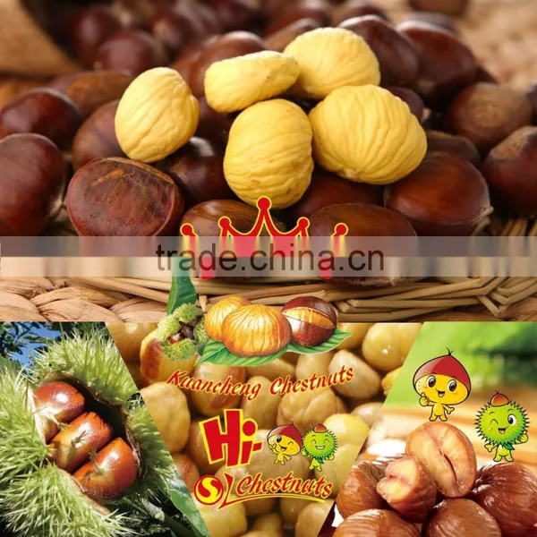 Ready to Eat Roasted Chestnuts Snacks,halal and Kosher Snacks photo-6