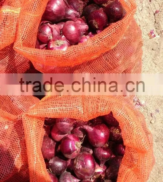 Onion