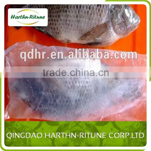 Iqf Frozen Tilapia Fillet Fish Wholesale photo-6