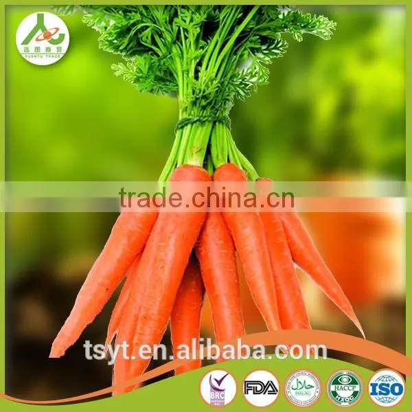 Health Food Fresh Carrot Crisp and Good Flavor Fresh Carrot Carrots photo-4