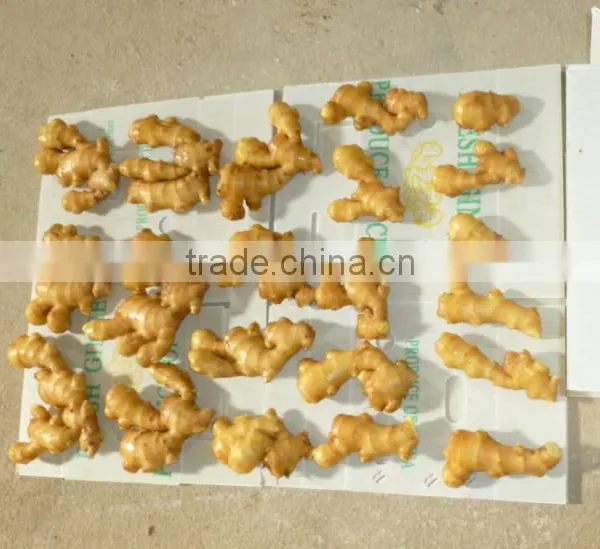 Ginger Manufacture photo-4