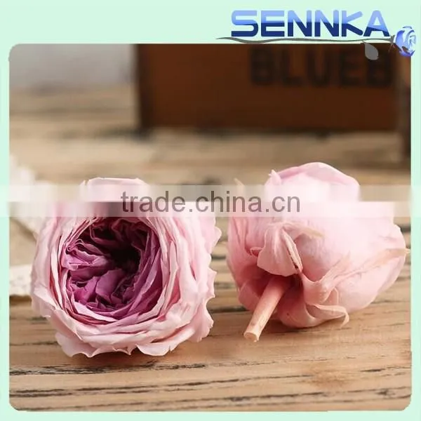 Fresh Cut Roses Preserved Fresh Flower Asuting Rose For Wedding Decoration photo-6