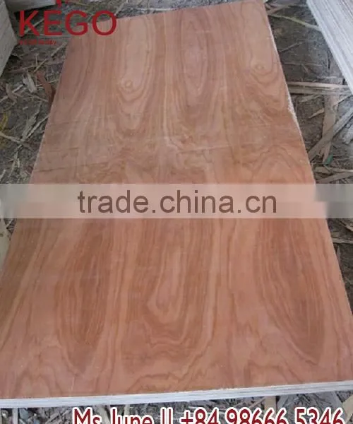 Packing Plywood 1220*2440*4.6mm Grade BC photo-3