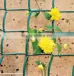 50MM green plastic fencing climbing netting for plant bean growing