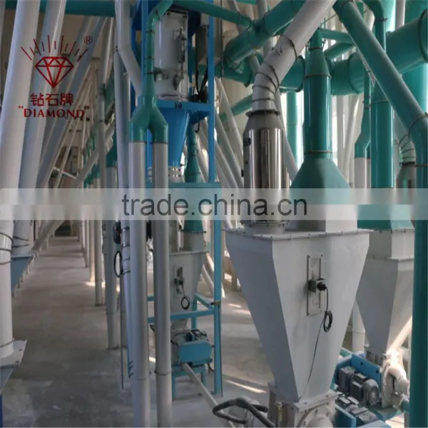 White and Yellow Corn Maize Flour Milling Plant photo-5