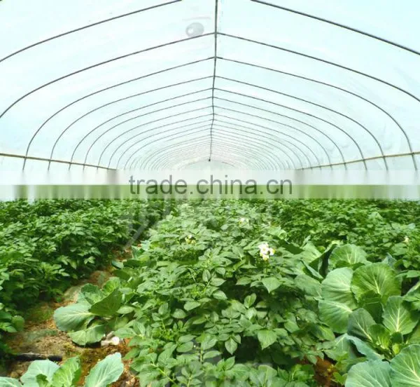 Tunnel Greenhouse photo-5