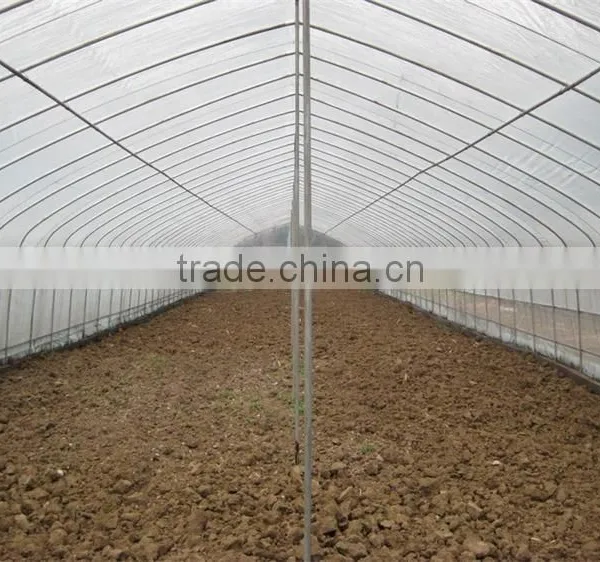 Hot Sale New Tunnel Type Mushroom Shed photo-4