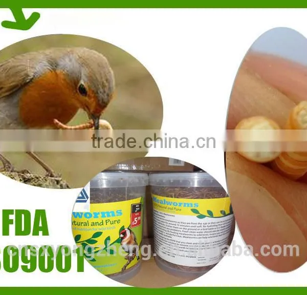 Yongzheng Dried Mealworms ;Good Quality Dried Mealworms ;Dried Mealworms for Fish Food photo-2