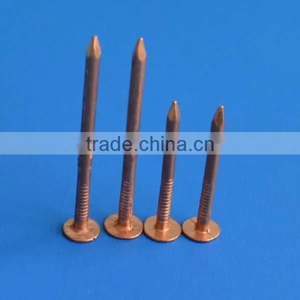 Copper Square Boat Nails photo-3