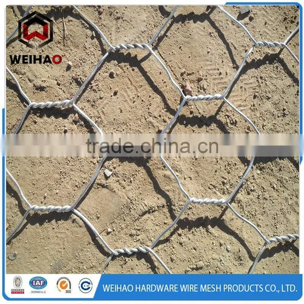 Galvanized/pvc Coated Hexagonal Gabion Wire Mesh Netting photo-5