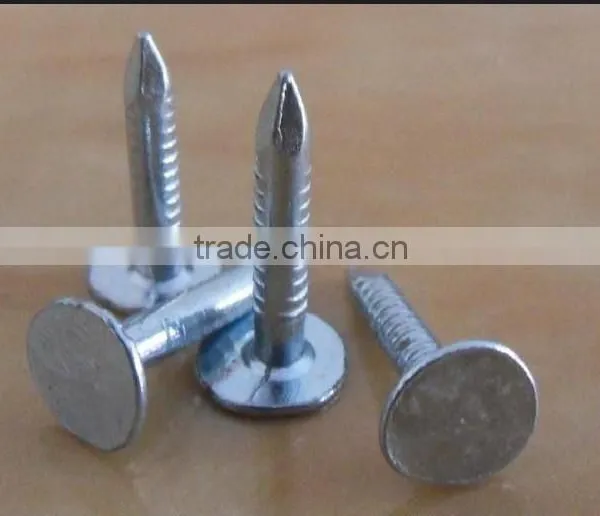 Factory Direct Selling Flat Head Clout Nails Roofing Nails Iron Nail Prices photo-2