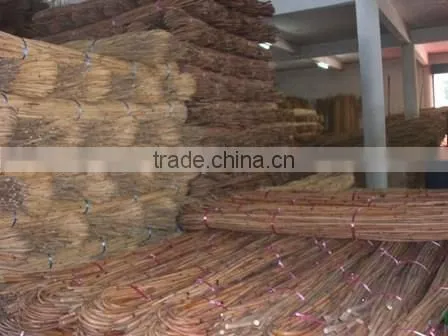 Raw Rattan Cane, Rattan, Cane, Rattan Meterial, Raw Material, Rattah Raw Mateiral, Rattan Cane photo-3
