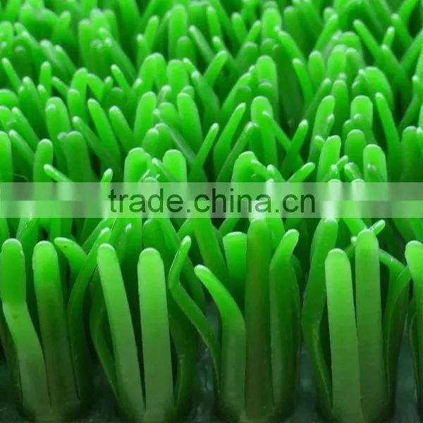 Long Service Life Gold- Rush Grass photo-2