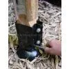 Square Post Anchor/fence Post Spike