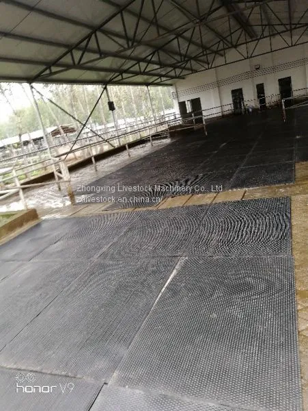 Rubber Floor Mat for Cattle/cow/horse/pig photo-5