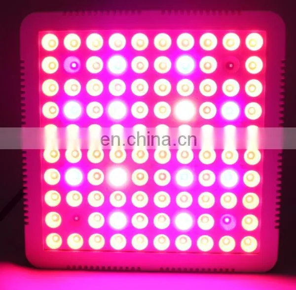 110V/220V 300W Cob LED Grow Light For Indoor Hydroponics Plants Growing photo-3