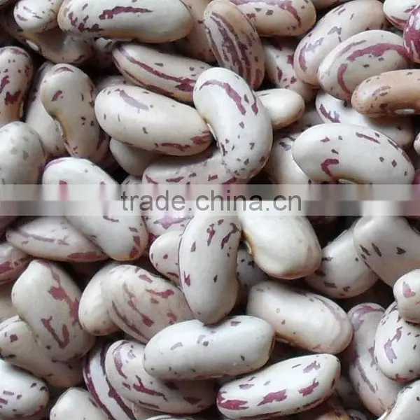 Light Speckled Kidney Beans