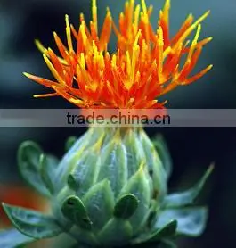 Safflower Oil photo-5