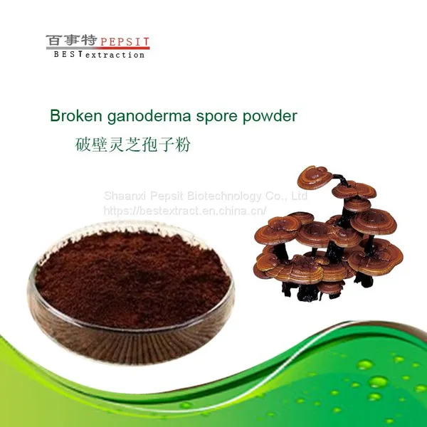 Broken Ganoderma Lucidum Spore Powder