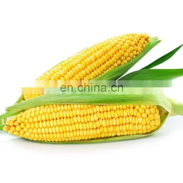 Sweet Corn/Maize Sheller/Shelling Machine