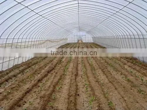 Agriculture Use HDPE Plants Protection Net photo-6