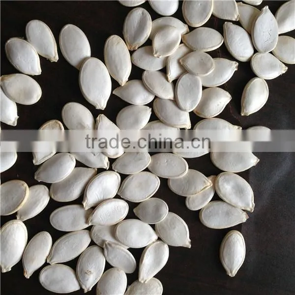 Organic Pumpkin Seeds in Shell Manufacturer photo-2