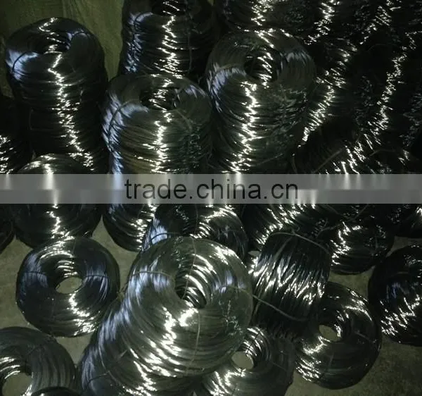 1/2 Inch Galvanized Welded Wire Mesh, Roll Price, for Sale photo-6