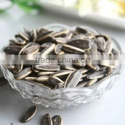 New Crop High Quality Chinese Sunflower Seed 5009/3638/0409/363 on Promotion for Europ photo-3
