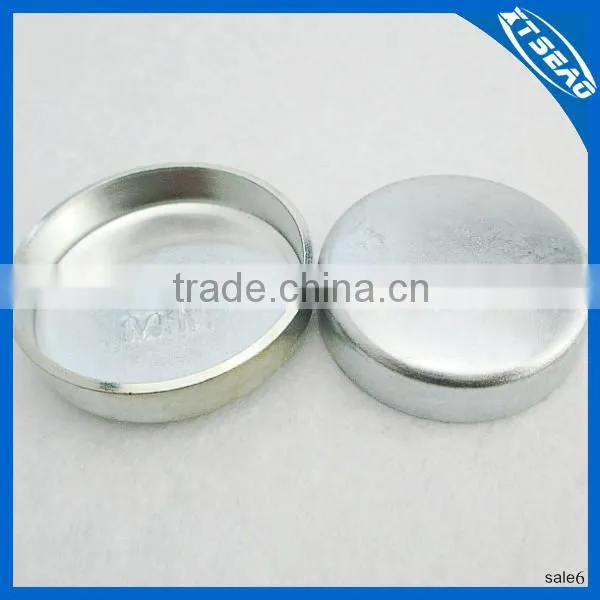 Engine Expansion Plug on Cylinder Block photo-6