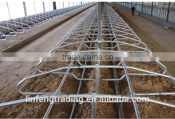 Cattle/Cow Lying Bar, Livestock Farming Equipment photo-2