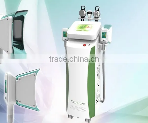 Vertical Cryolipolysis Fat Freezing Cryolipolysis Machine Weight Loss Beauty Spa/ Clinic For Sale Reduce Cellulite photo-3