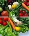 Export - Fresh India Vegetables