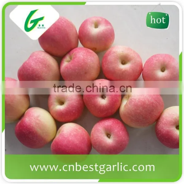Chinese Grade A Fresh Royal Gala Apple photo-4